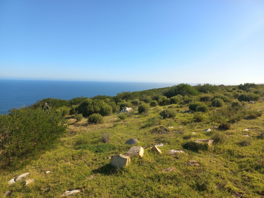 0 Bedroom Property for Sale in Kranshoek Township Western Cape